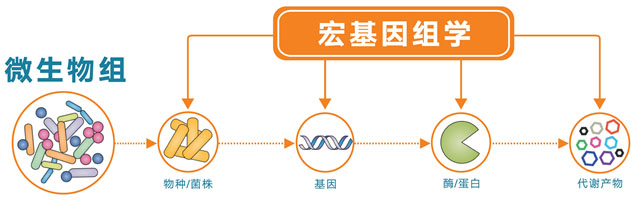 宏基因組測序1.jpg