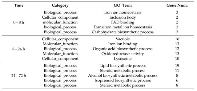 640 (3).webp (6).jpg