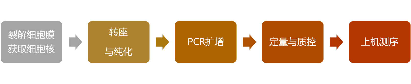圖片5.png