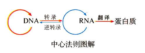 圖片6.png