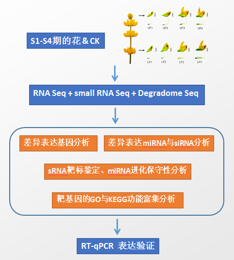 圖片2.png