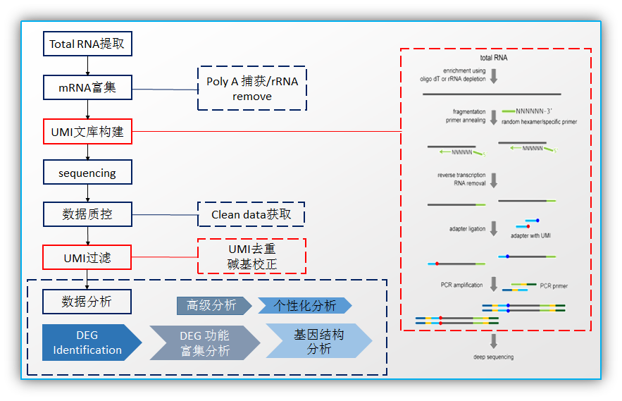 圖片3.png