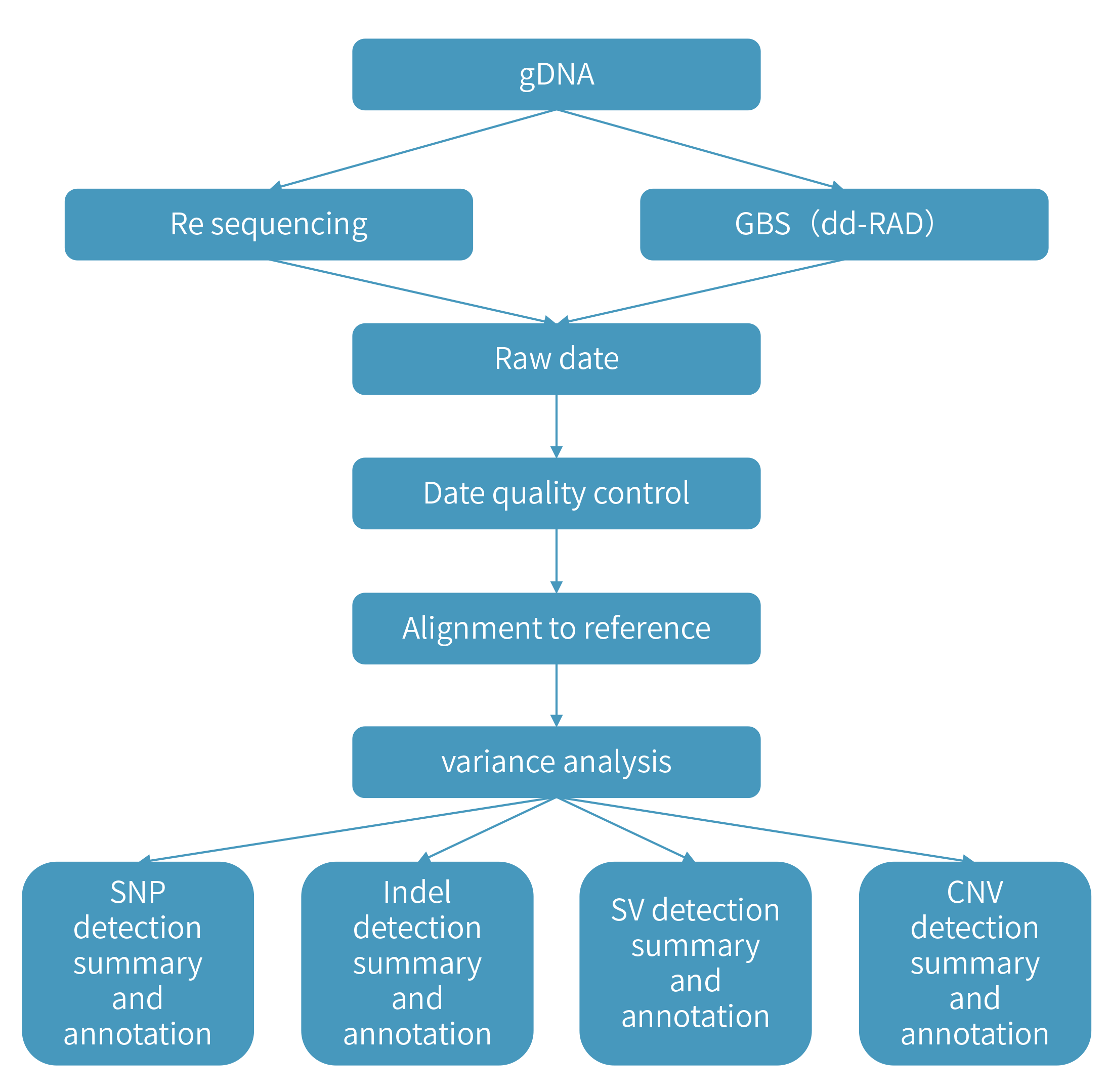 Genetic Variation Detection技術路線.png
