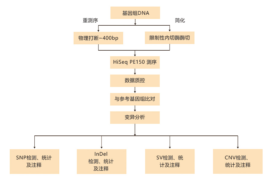 圖片3.png