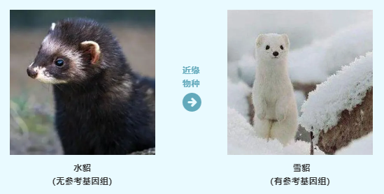 未命名1604898918.png