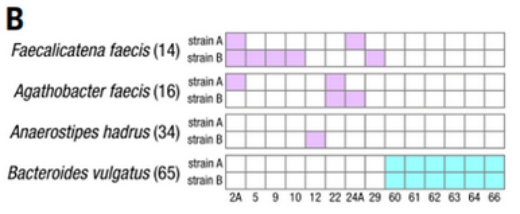 596403a169b27fa3563216db86dfda15.png