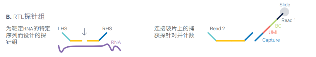 d7693a97c88336d924827dde535fcd69.png