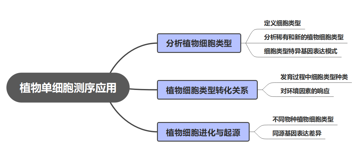 d1923c5241e8e3a020519f7581b1c053.png