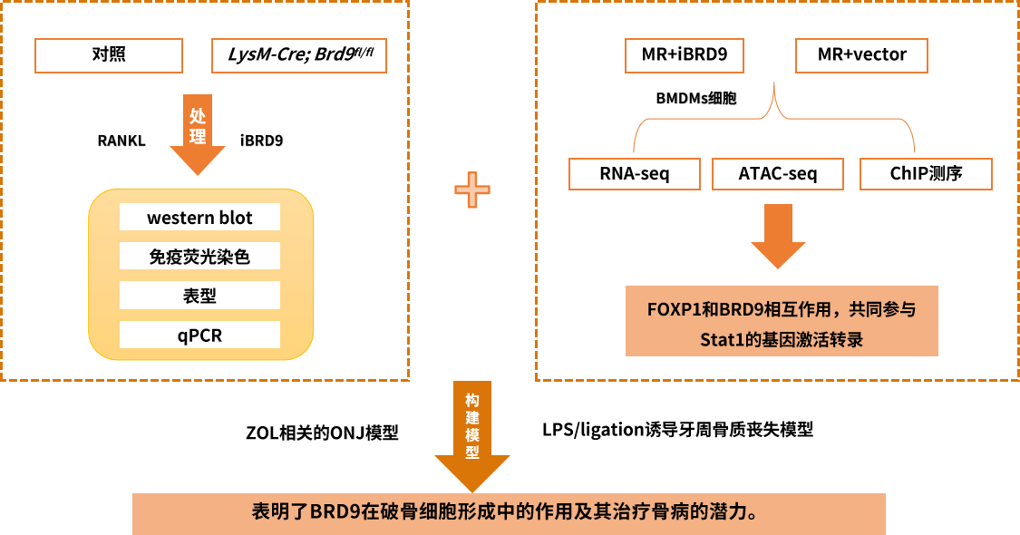 圖片1.png