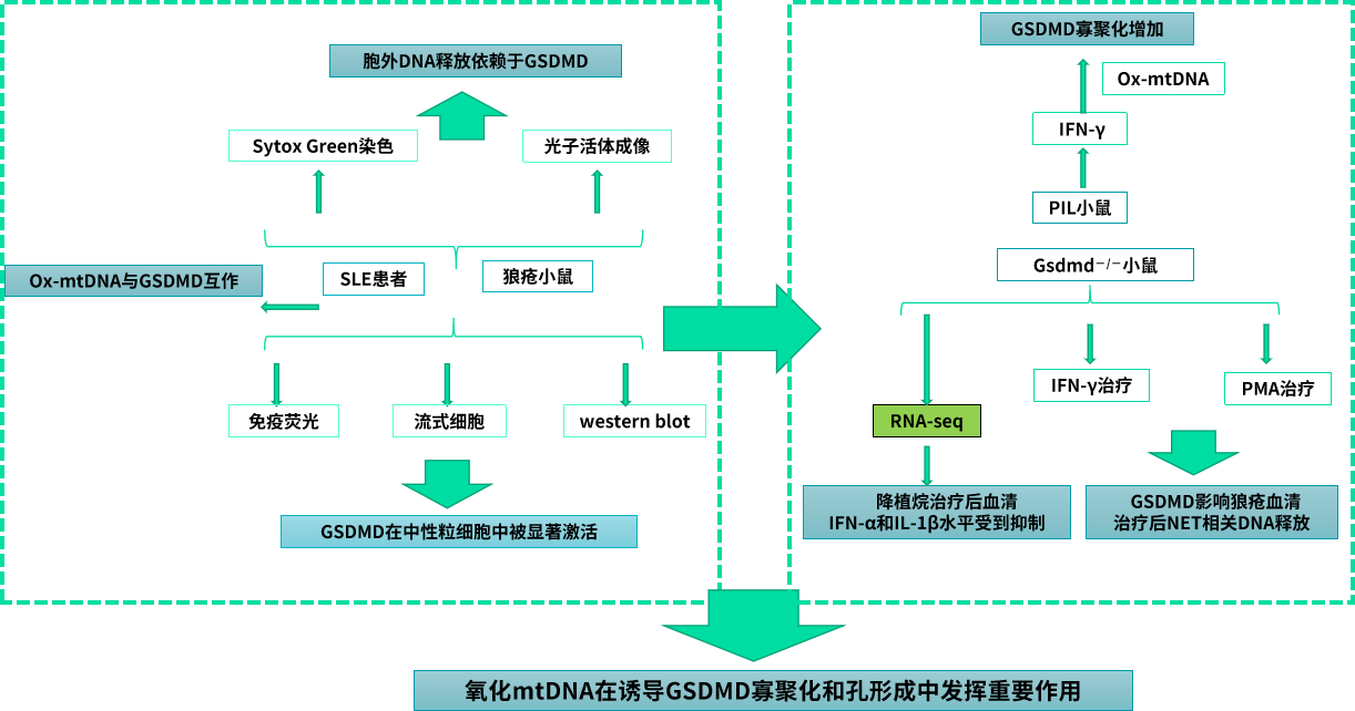 圖片6.png