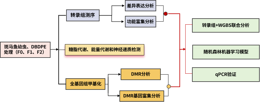 圖片11.png