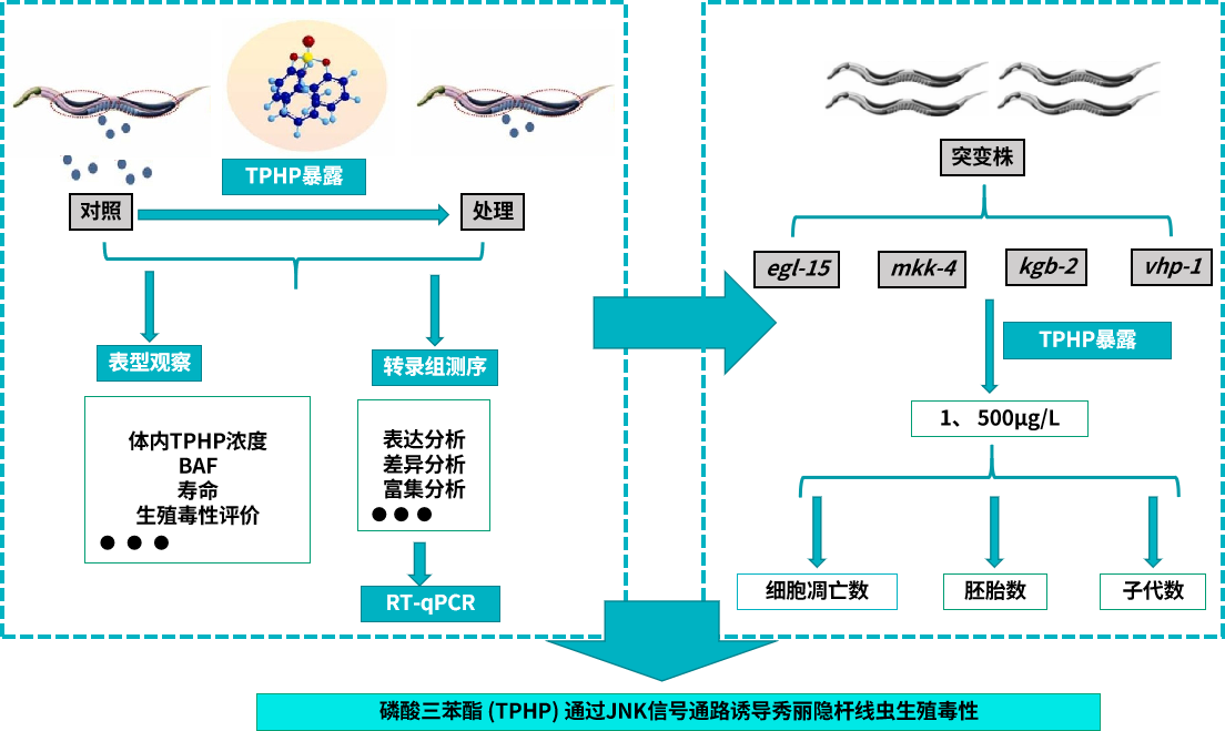 圖片14.png