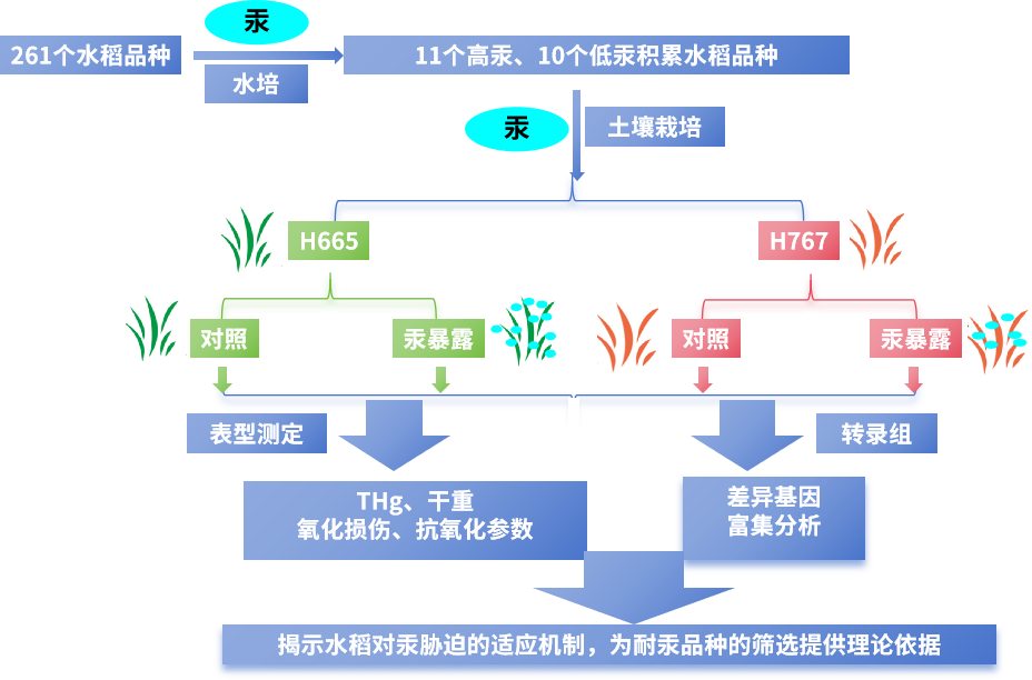 圖片19.png