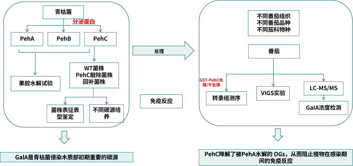 圖片21.png