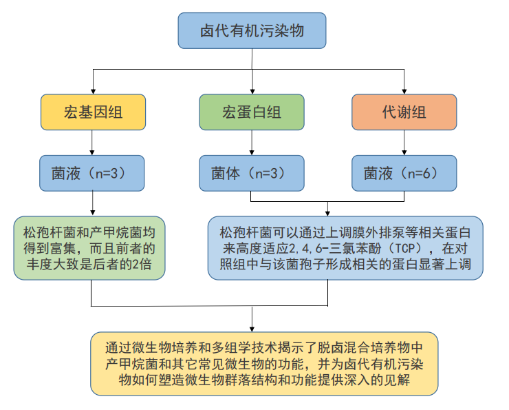 圖片30.png