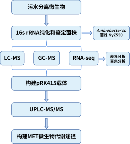 圖片31.png