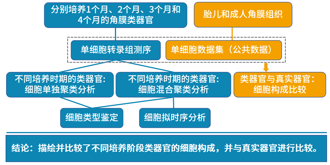圖片2.png