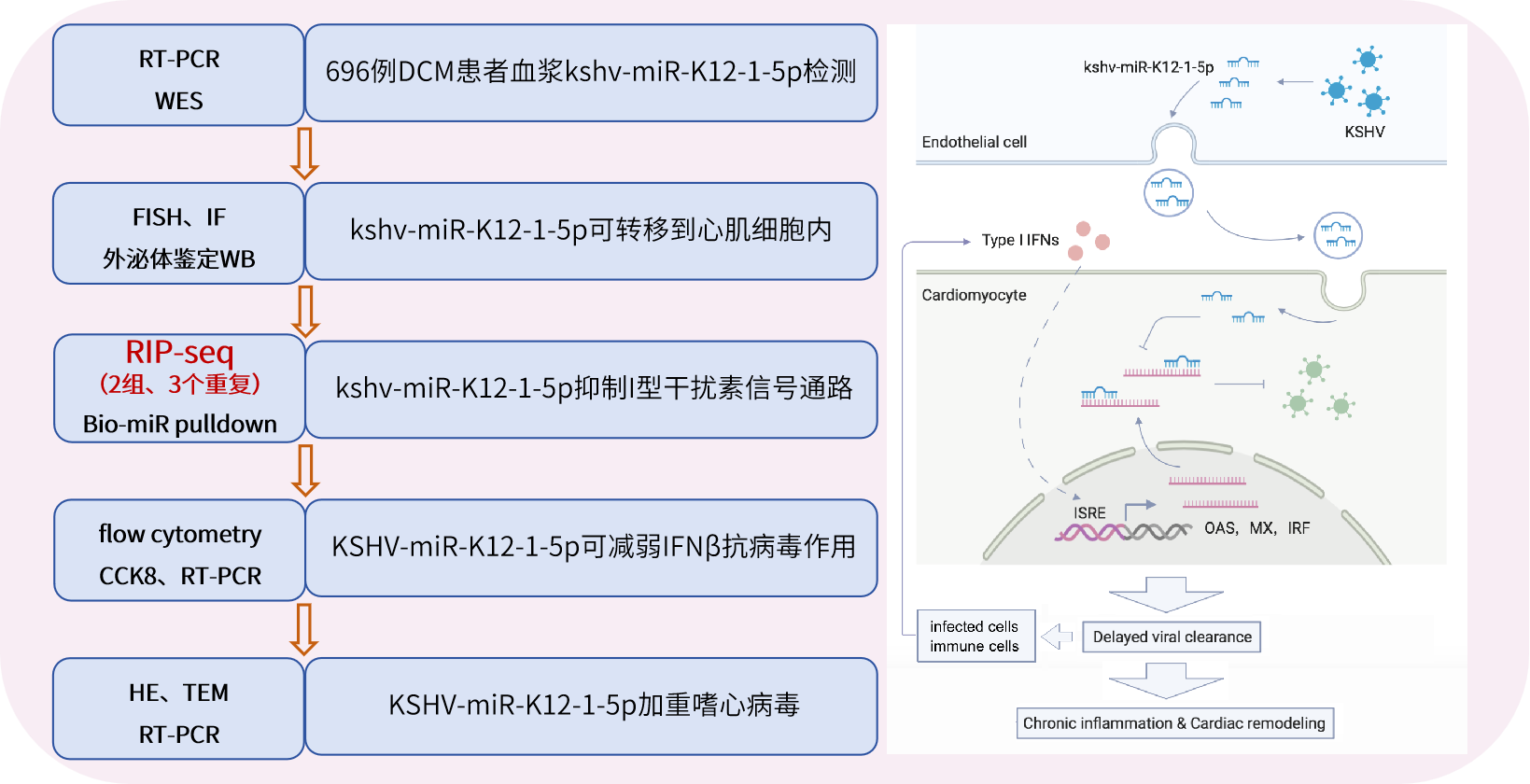 技術路線.png