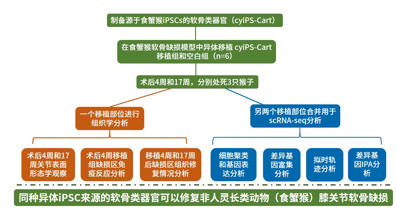 sch公眾號(2).jpg