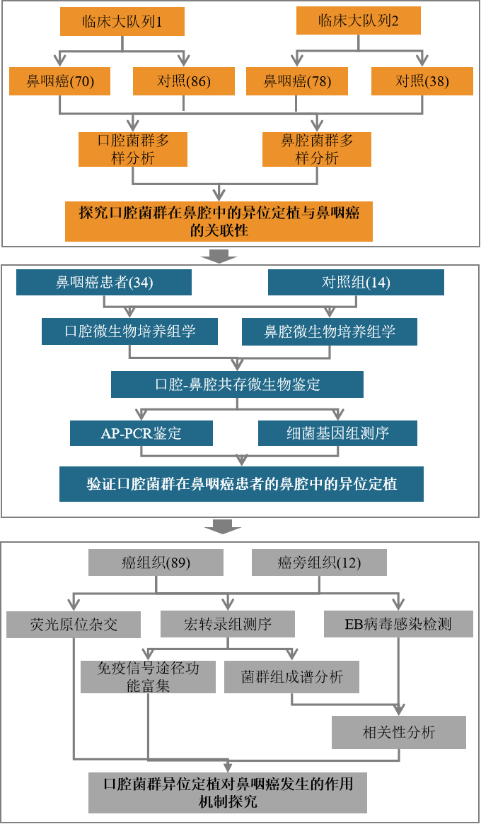 圖片3.png