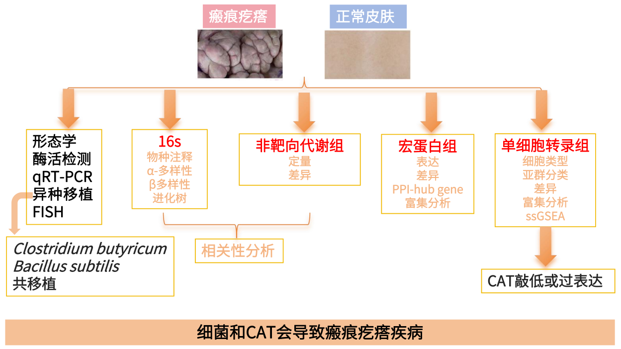 圖片11.png