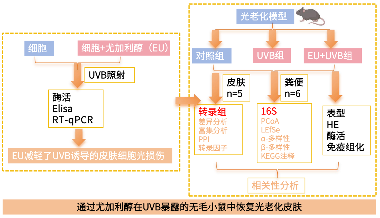 圖片19.png