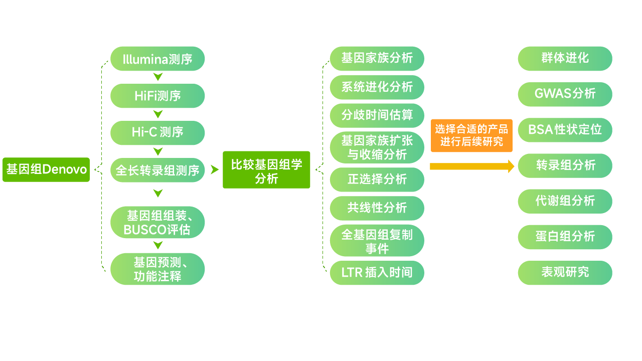 畫板 1.png