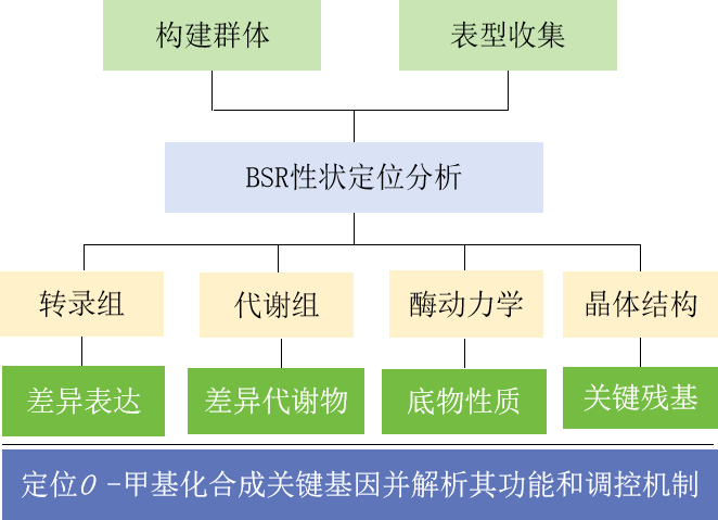 圖片7.png