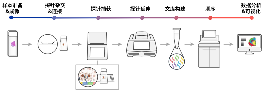 圖片20.png