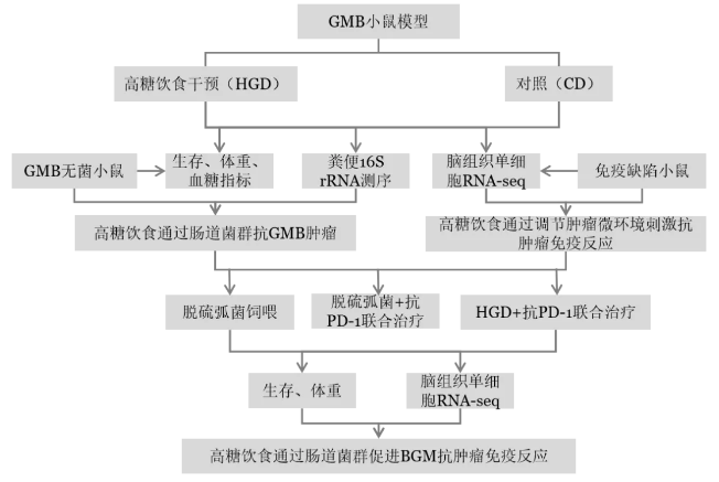 未命名1711417754.png
