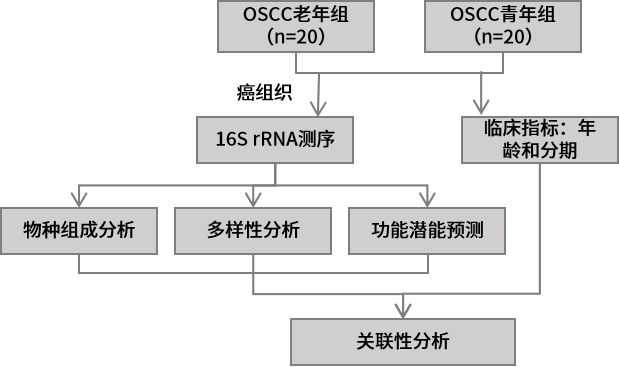 圖片8.png