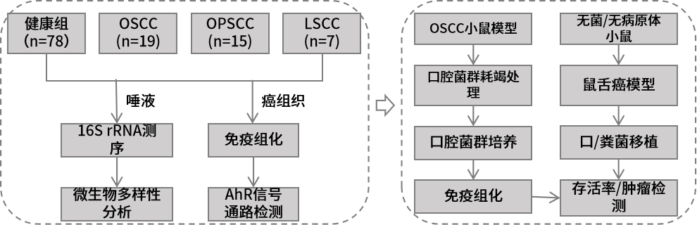 圖片10.png