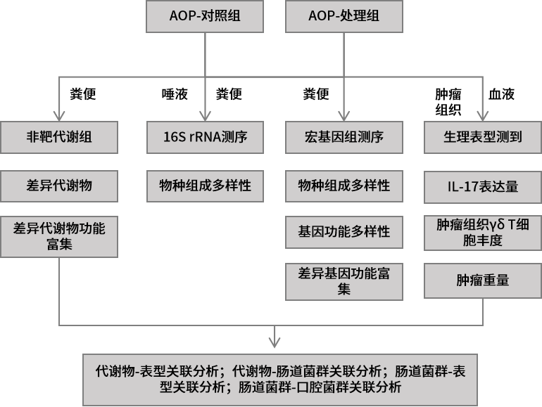 圖片12.png