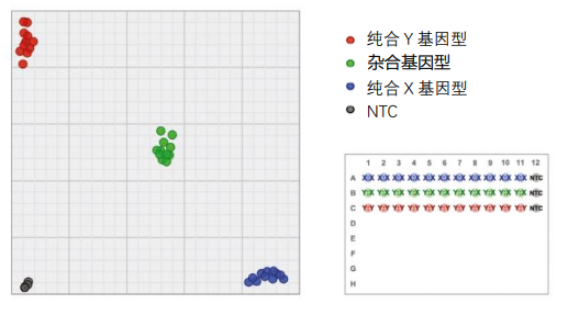 圖片6.png