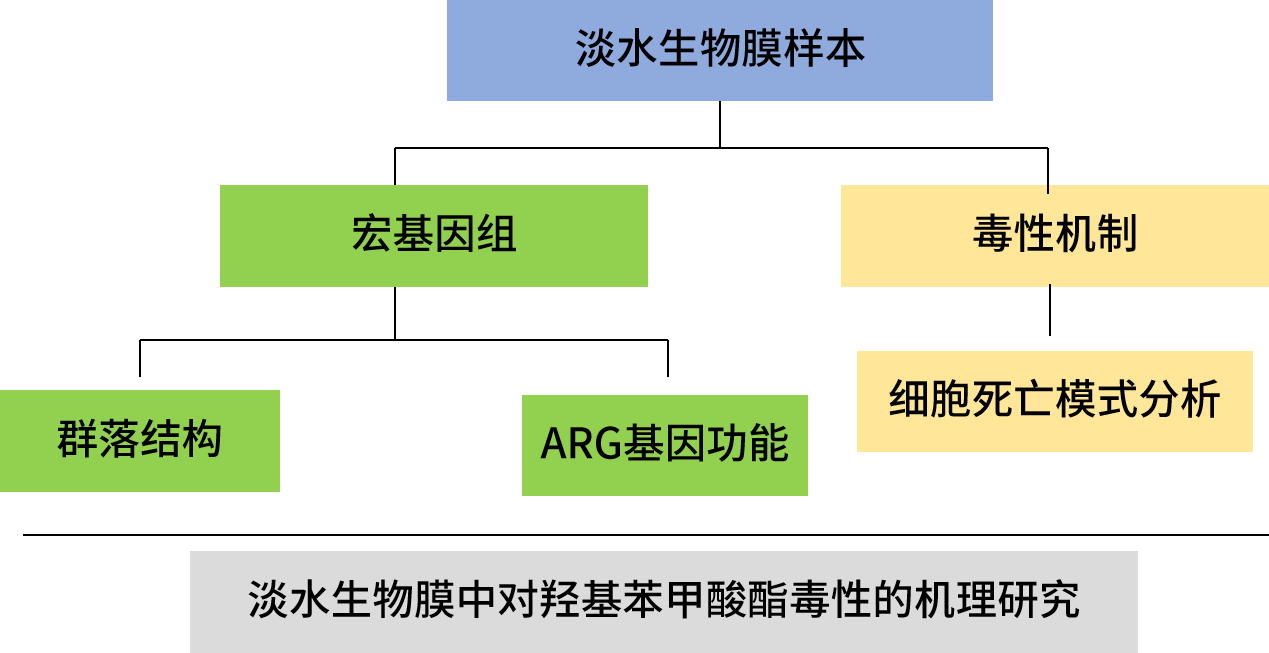 路線3.png