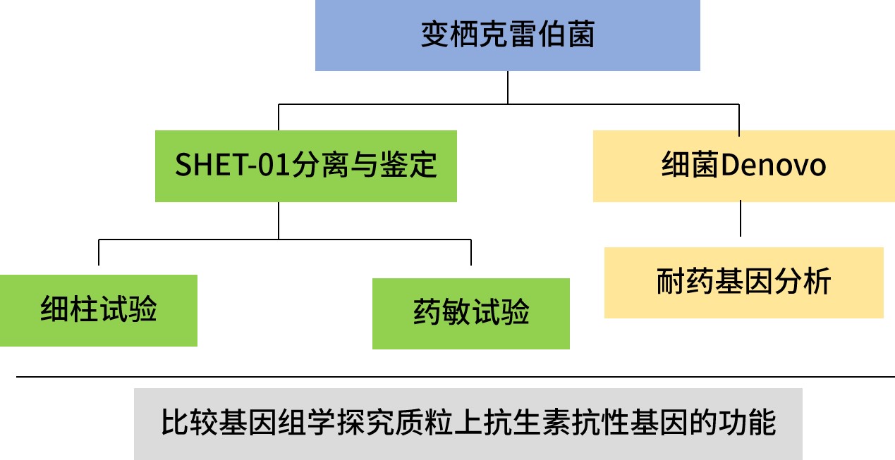 路線2.jpg