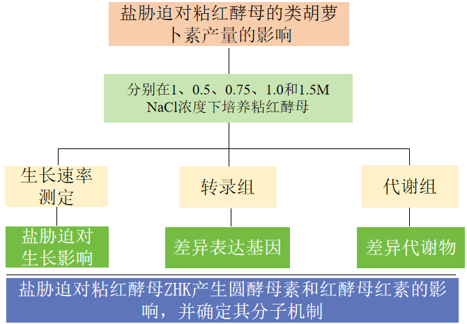 圖片6.png