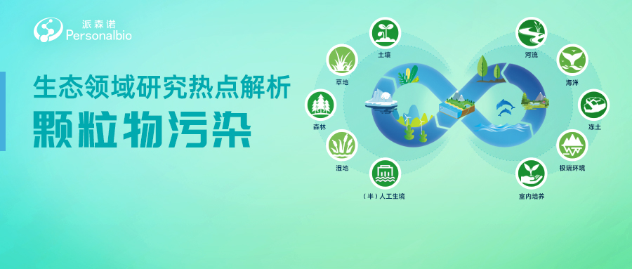 顆粒物污染.jpg
