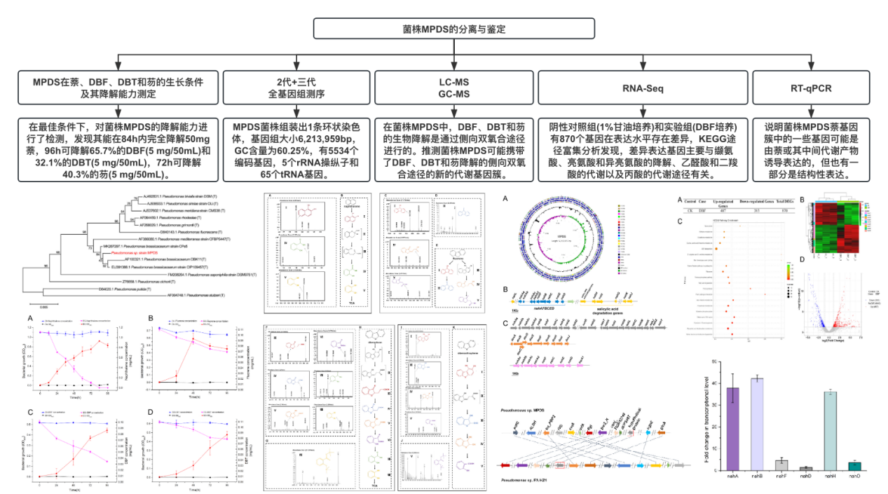 圖片5.png