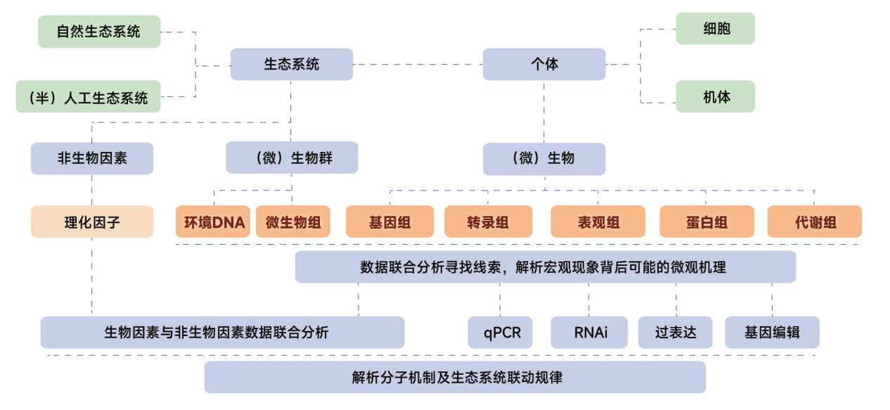 圖片1.png