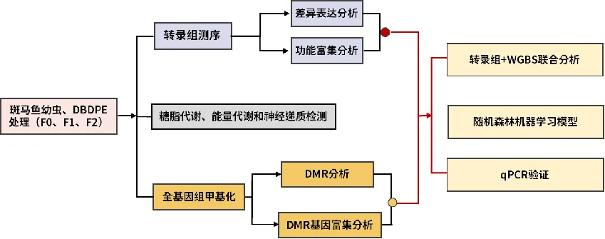 圖片8.png