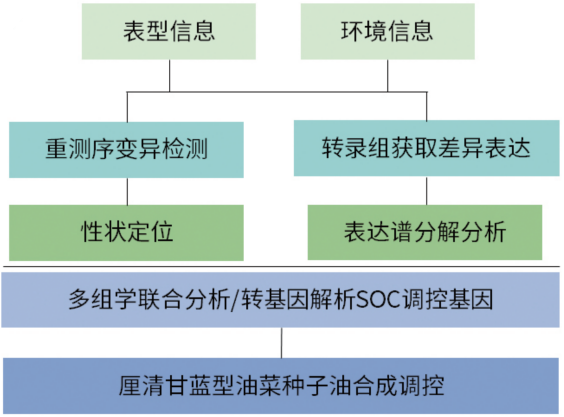圖片16.png