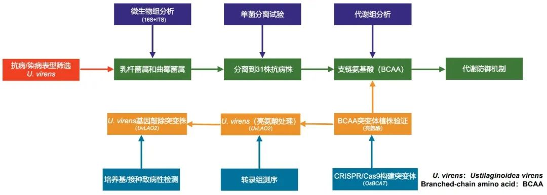圖片1.png