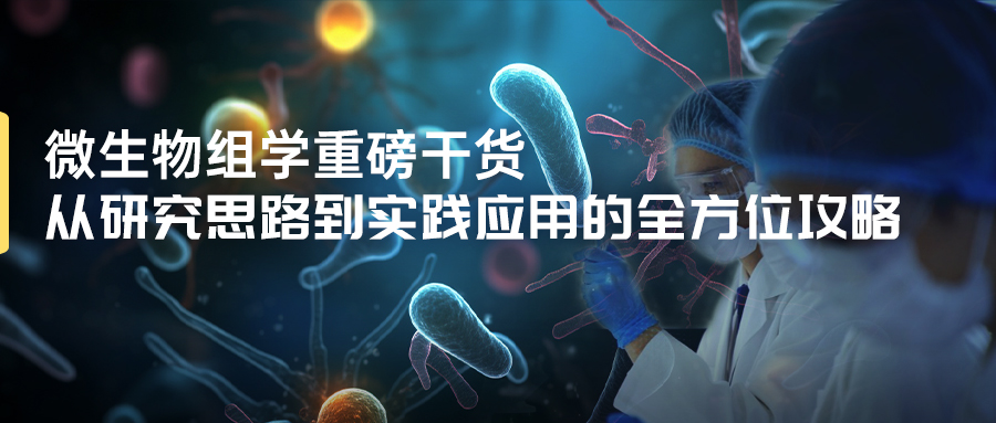 從研究思路到實踐應用的全方位攻略-(1).jpg