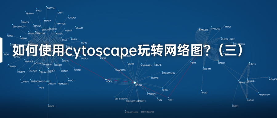 如何使用cytoscape玩轉網絡圖？.jpg