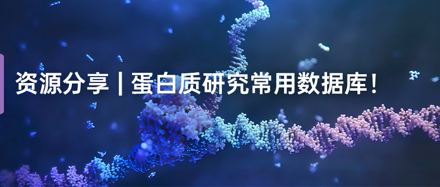 公眾號首圖封面-文章0731(1).jpg