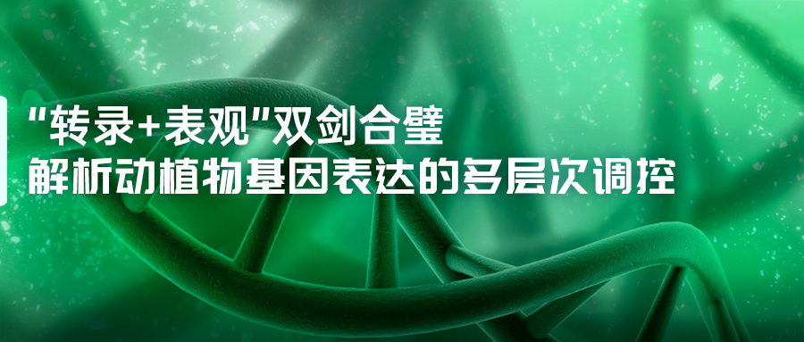 內頁.jpg