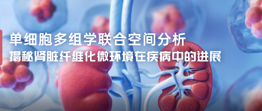 揭秘腎臟纖維化微環境在疾病中的進展-(1).jpg