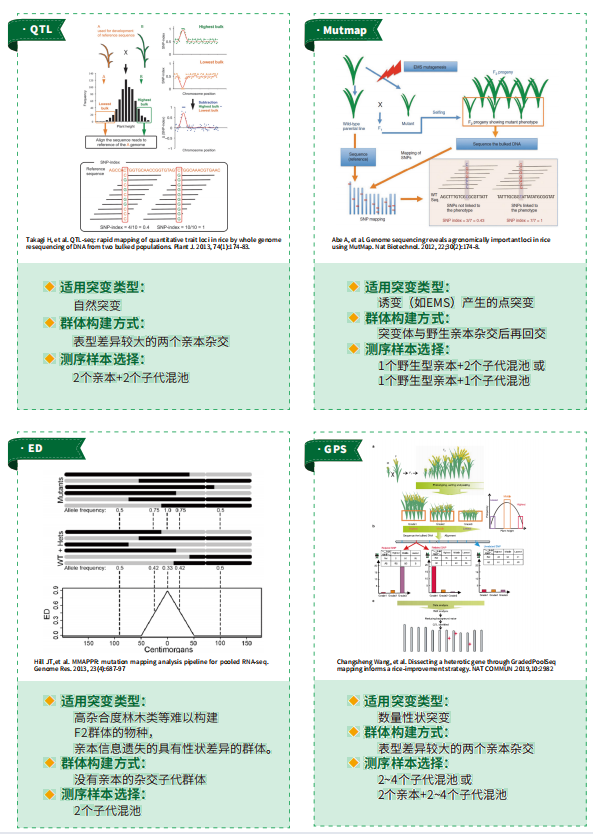圖片1.png