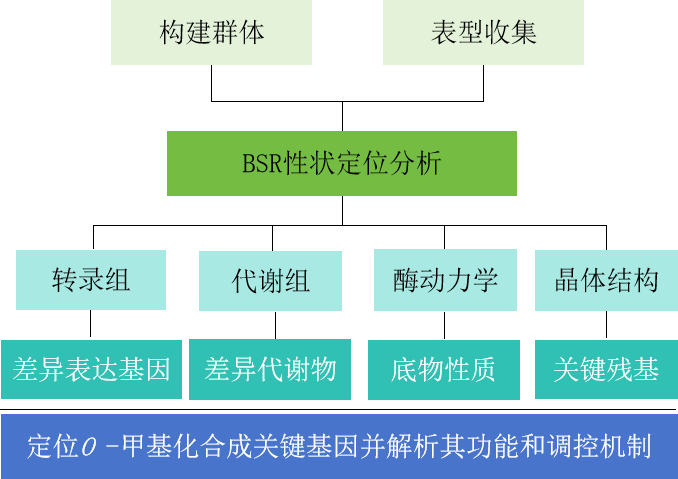 圖片9.png